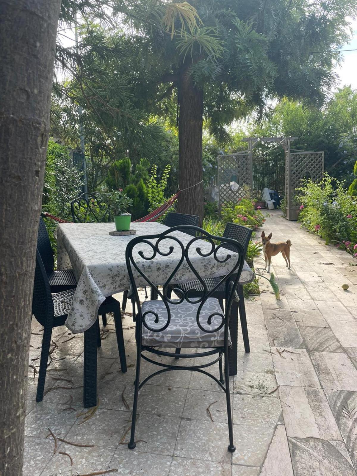 Secret Garden Villa Giovinazzo Luaran gambar