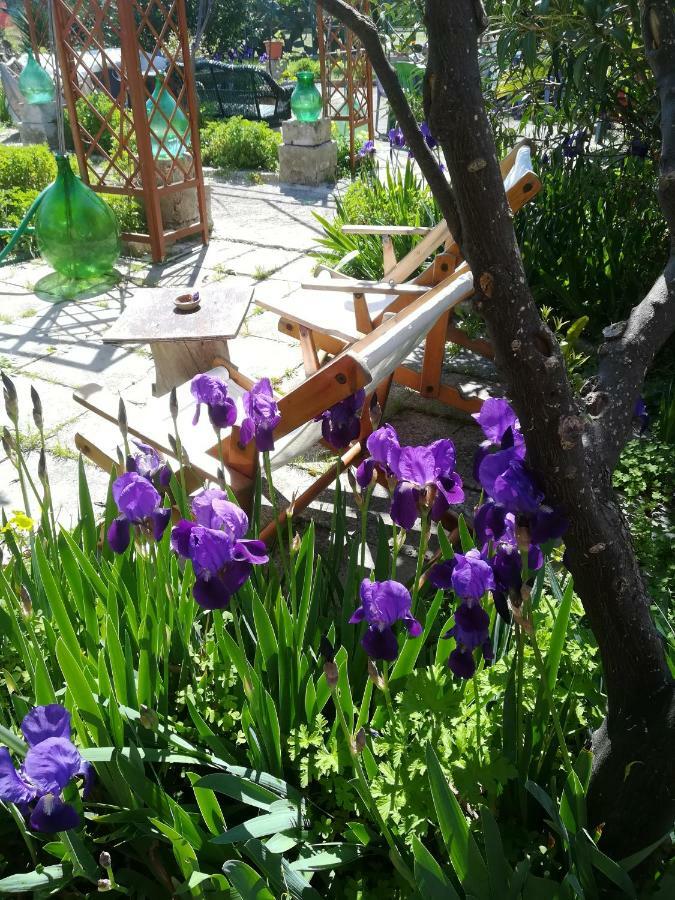 Secret Garden Villa Giovinazzo Luaran gambar